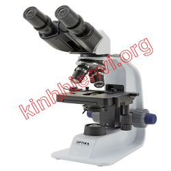 Kính hiển vi sinh học 40x – 1000x Optika B159