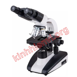 Kính hiển vi sinh học 40x – 1600x Trung Quốc BBN-136B