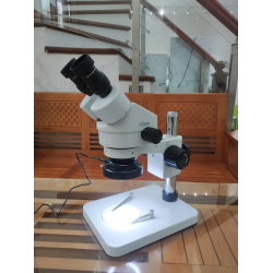 Kính hiển vi soi nổi (7X – 54X) Sunny SZM7045N-B1