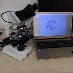 Kính hiển vi tích hợp camera Trung Quốc DMK-3678