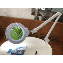 Kính lúp kẹp bàn (thấu kính xanh, tròn to, điều chỉnh độ sáng, loại xịn) 8066A-5X-L